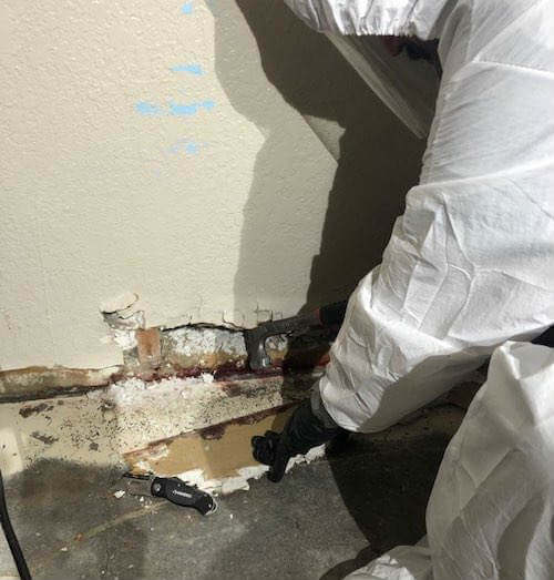 Blood Cleanup Company